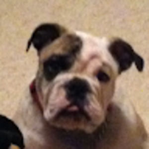 Meet your Posher, Robert